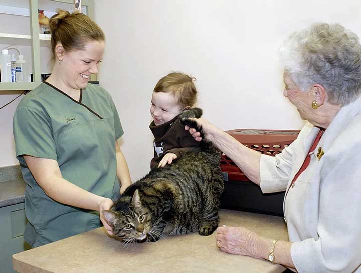 Preventive Care for Cats