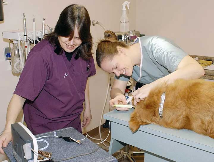 Advanced Soft Tissue Surgery